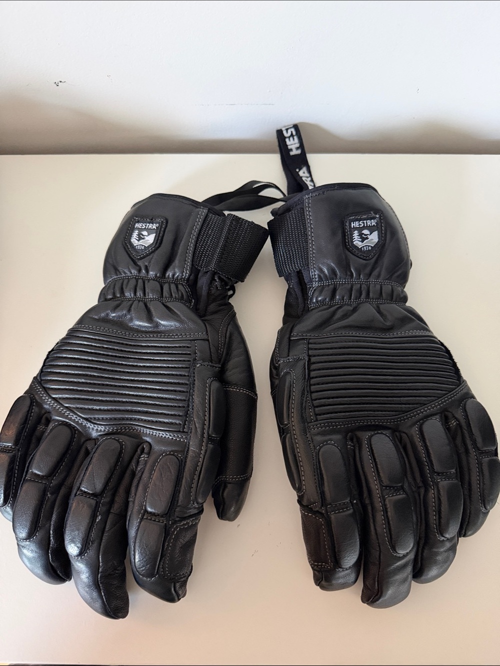 Hestra Black Leather Insulated Ski Gloves